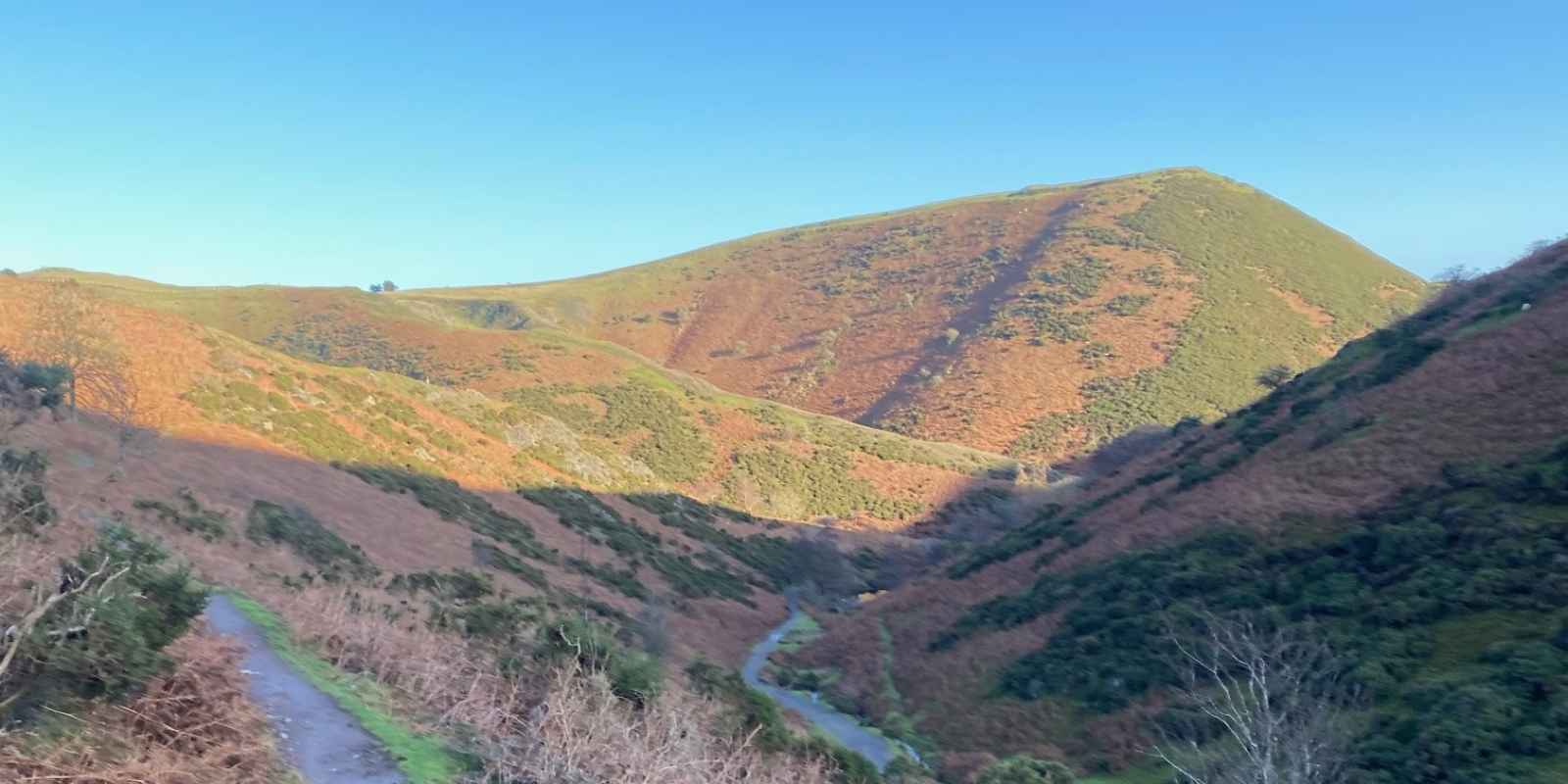 The long mynd