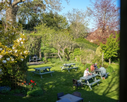 Garden