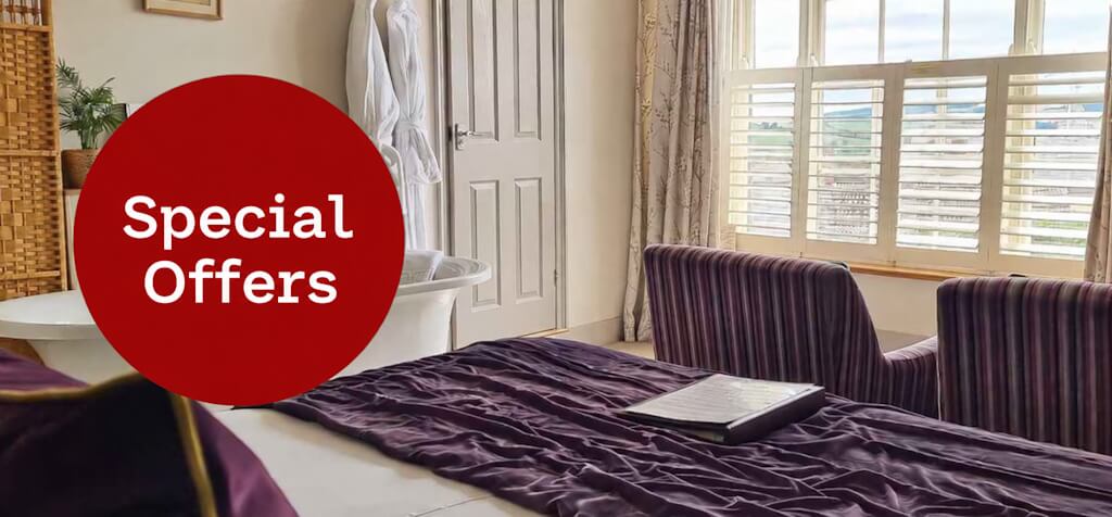 Special Offers