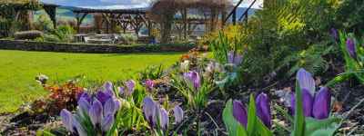 Spring in Shropshire, Castle Hotel Garden
