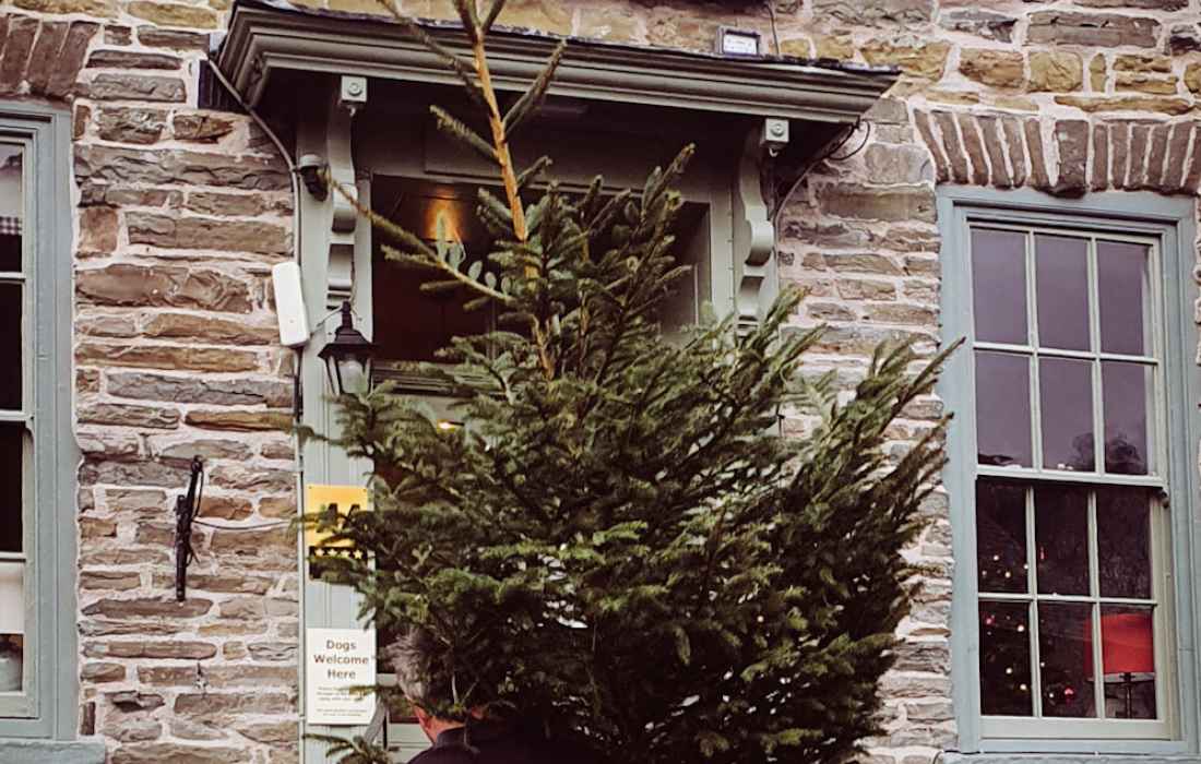 Christmas Tree at The Castle Hotel