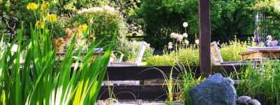 The garden ponds, Bishops Castle