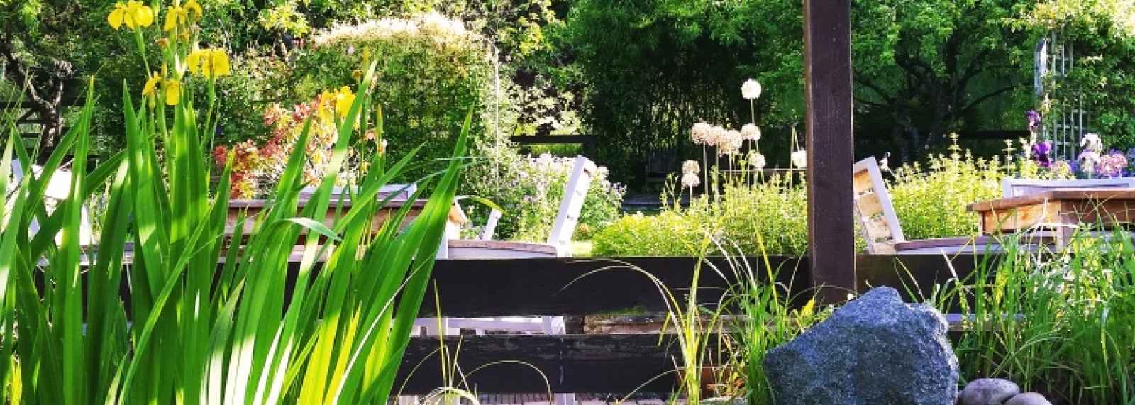 The garden ponds, Bishops Castle