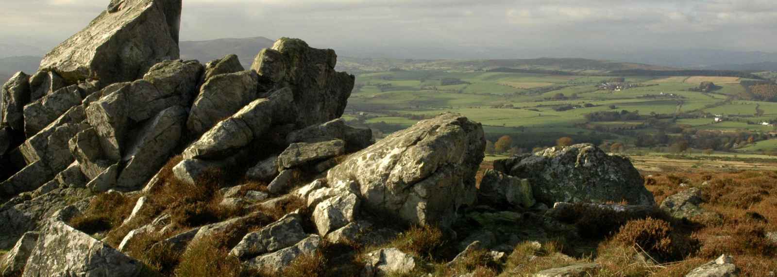 On the Stiperstones by John Holt
