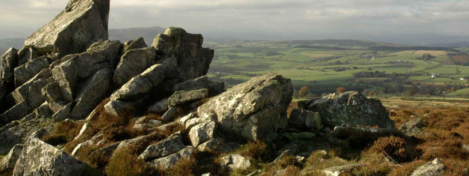 On the Stiperstones by John Holt