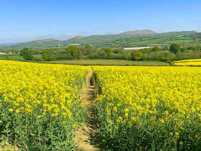 The Shropshire Way, Bishops Castle