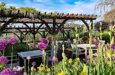 The Castle Hotel Gardens for outside dining