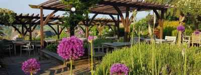 Herb garden in Bishops Castle